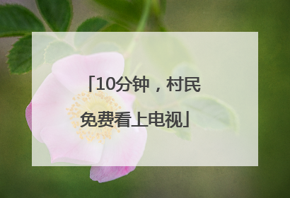 10分钟，村民免费看上电视