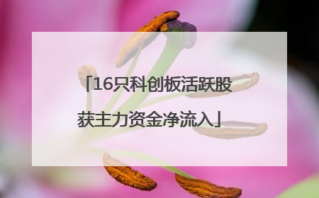 16只科创板活跃股获主力资金净流入