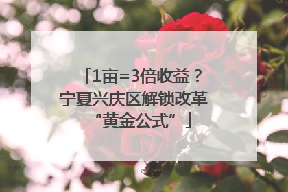 1亩=3倍收益？宁夏兴庆区解锁改革“黄金公式”