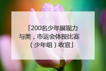 200名少年展现力与美，市运会体操比赛（少年组）收官