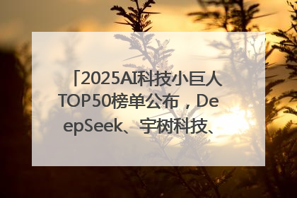2025AI科技小巨人TOP50榜单公布，DeepSeek、宇树科技、蘑菇车联等企业荣誉上榜