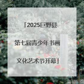 2025巨野县第七届青少年书画文化艺术节开幕