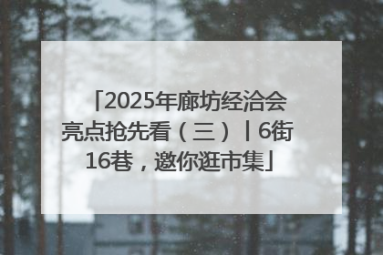 2025年廊坊经洽会亮点抢先看（三）丨6街16巷，邀你逛市集