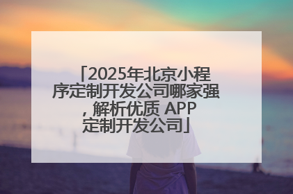 2025年北京小程序定制开发公司哪家强，解析优质 APP 定制开发公司