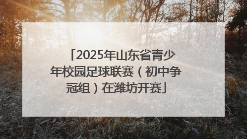 2025年山东省青少年校园足球联赛（初中争冠组）在潍坊开赛