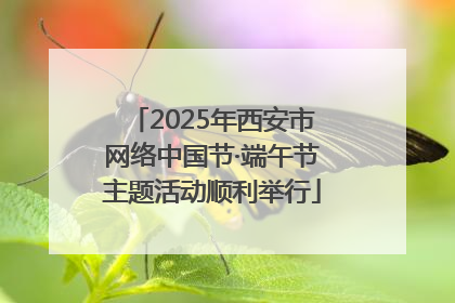 2025年西安市网络中国节·端午节主题活动顺利举行