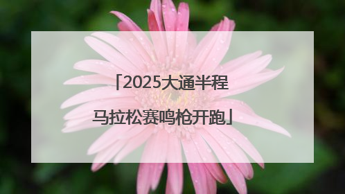 2025大通半程马拉松赛鸣枪开跑