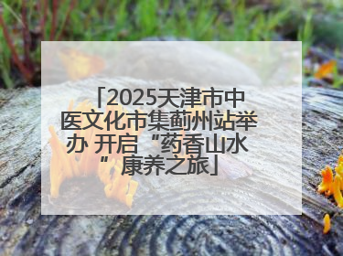 2025天津市中医文化市集蓟州站举办 开启“药香山水”康养之旅