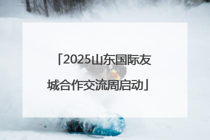 2025山东国际友城合作交流周启动