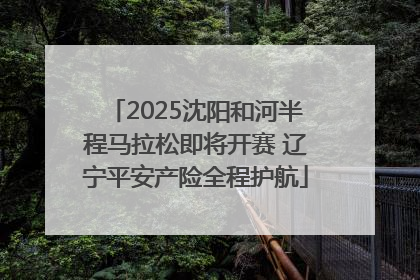 2025沈阳和河半程马拉松即将开赛 辽宁平安产险全程护航