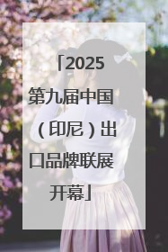 2025第九届中国（印尼）出口品牌联展开幕