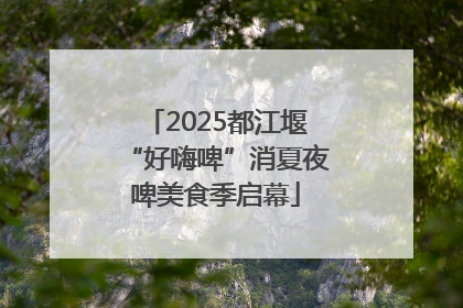 2025都江堰“好嗨啤”消夏夜啤美食季启幕