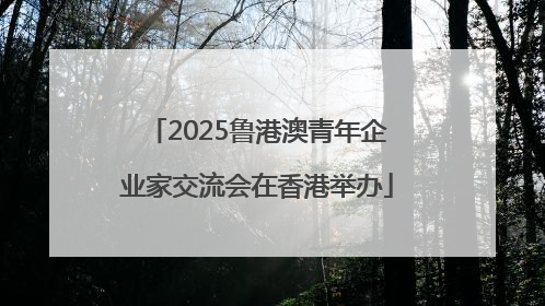 2025鲁港澳青年企业家交流会在香港举办