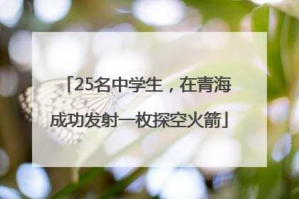 25名中学生，在青海成功发射一枚探空火箭