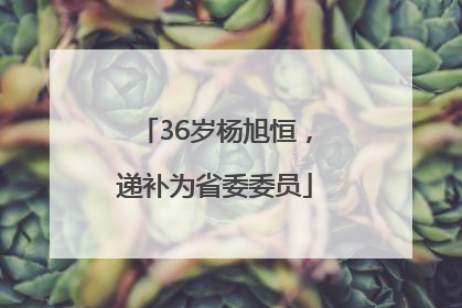 36岁杨旭恒，递补为省委委员