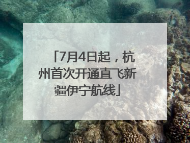 7月4日起，杭州首次开通直飞新疆伊宁航线