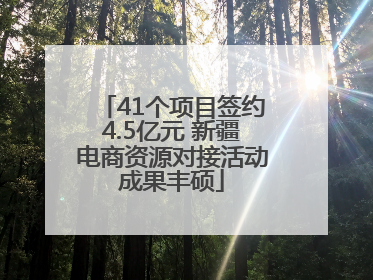41个项目签约4.5亿元 新疆电商资源对接活动成果丰硕