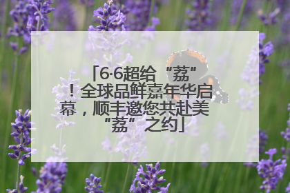 6·6超给“荔”！全球品鲜嘉年华启幕，顺丰邀您共赴美“荔”之约
