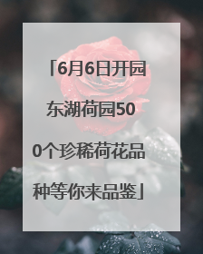 6月6日开园 东湖荷园500个珍稀荷花品种等你来品鉴
