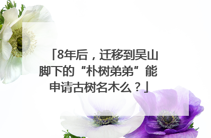 8年后，迁移到吴山脚下的“朴树弟弟”能申请古树名木么？