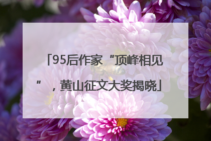 95后作家“顶峰相见”，黄山征文大奖揭晓
