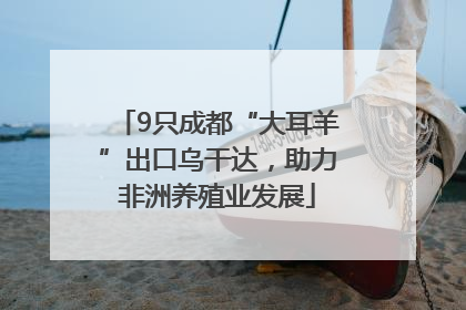 9只成都“大耳羊”出口乌干达，助力非洲养殖业发展